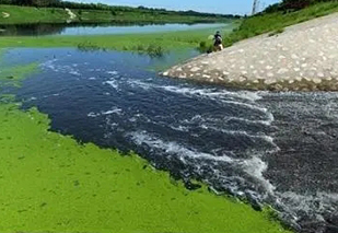面對黑臭水體治理難題,都有哪些應(yīng)用不錯的處理工藝? 面對黑臭水體治理難題,都有哪些應(yīng)用不錯的處理工藝?